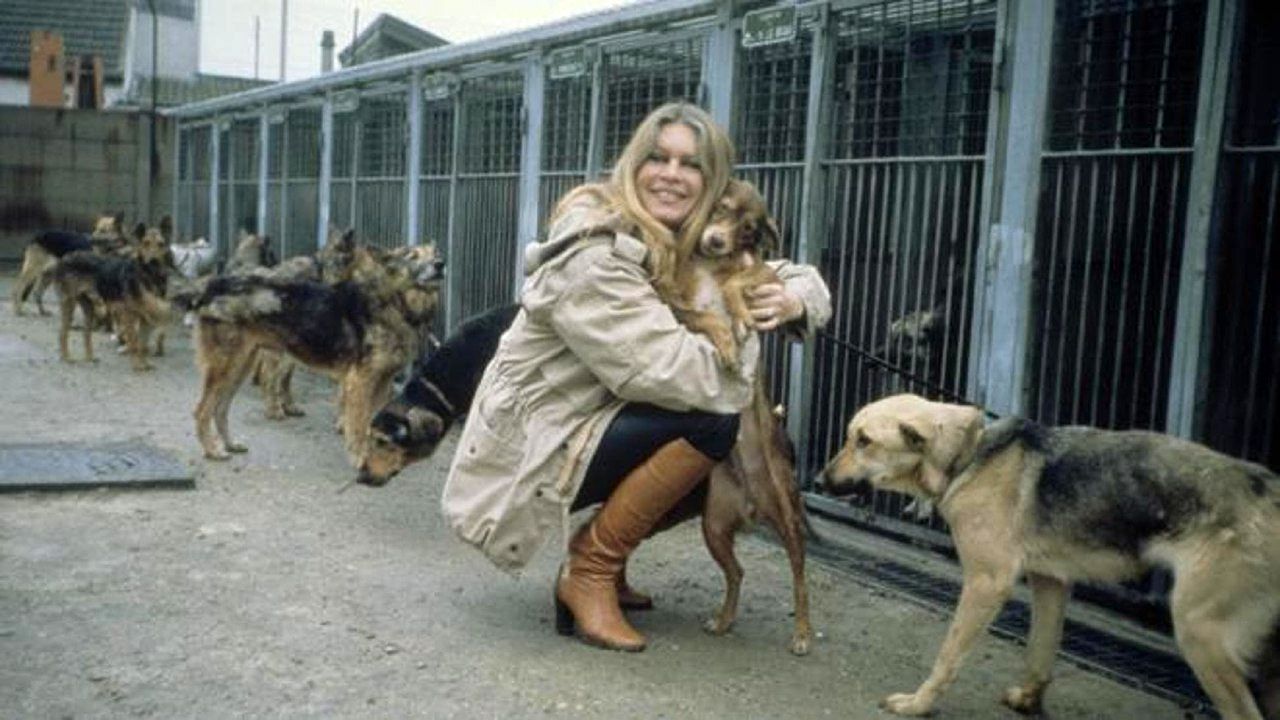 جراحی سخت بریژیت باردو با وضعیت نگران کننده