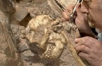 خویشاوند ۳ میلیون سالۀ انسان از دل سنگ بیرون آمد