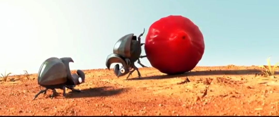 انیمیشن دراز گوش/ویدیو