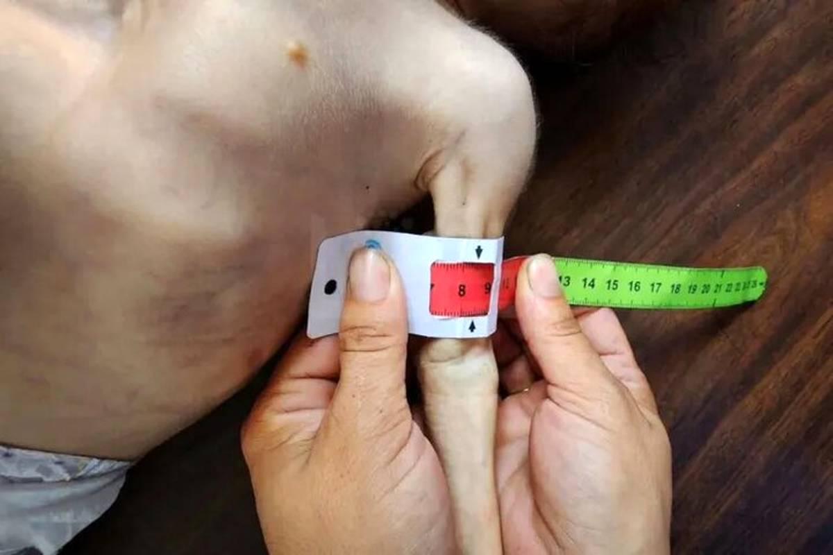 می‌رسد از راه آن دلخواه آن خونخواه...
