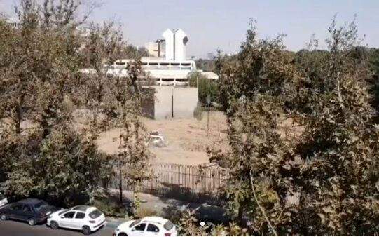 ماجرای قطع درختان موزه فرش/مدیر موزه: قضاوت‌ها نادرست است
