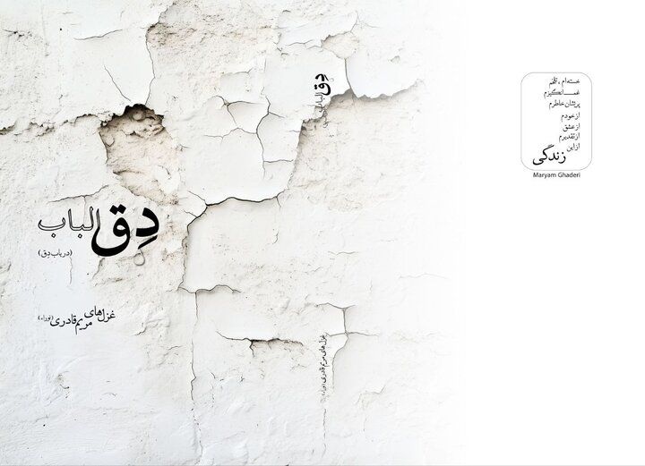 مجموعه شعری در باب «دِق» منتشر شد