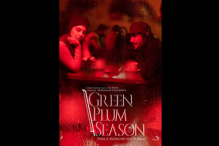 «فصل آلوچه‌های سبز» از آمریکا جایزه گرفت
