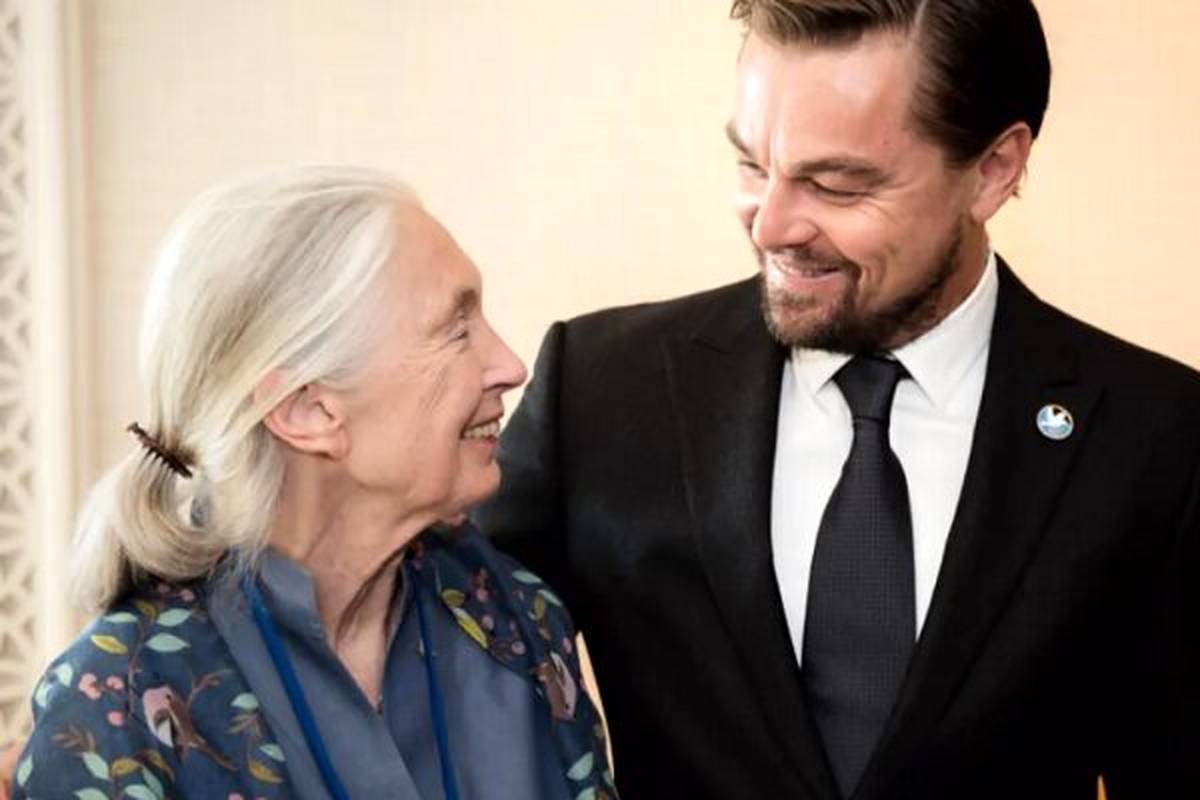 دیکاپریو خطاب به جین گودال: تو قهرمان من هستی