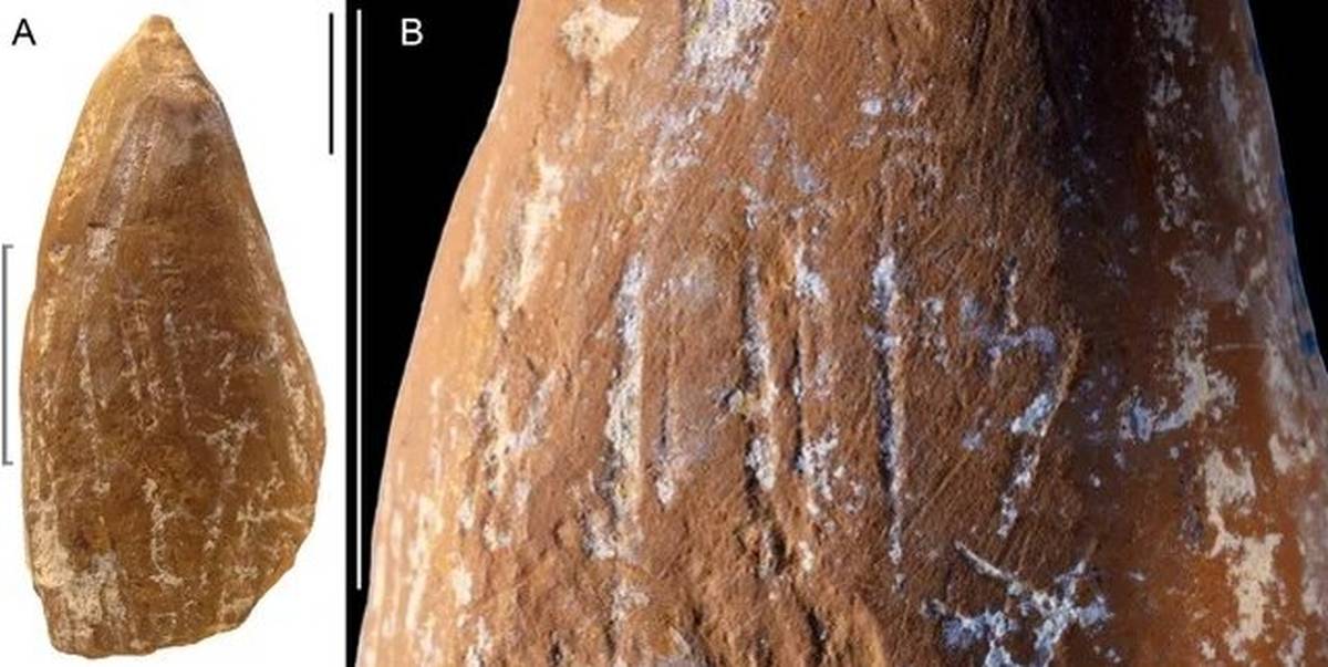 نئاندرتال‌ها مدادشمعی داشتند؟
