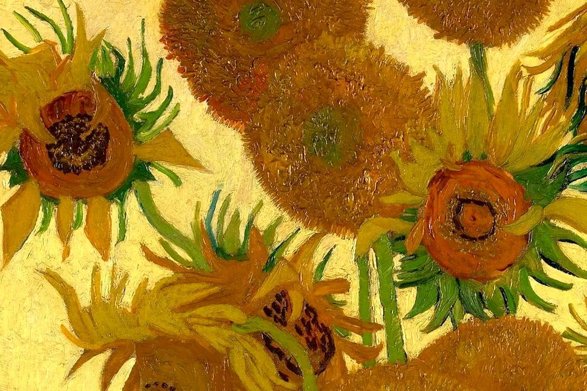 معنای حقیقی گل آفتاب گردان در نقاشی‌های ونگوگ
