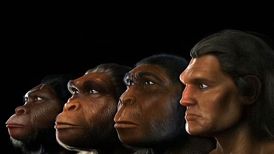 سرعت دو برابری تکامل مردان نسبت به زنان؛ آیا مردان جذابتر و ترسناکتر میشوند؟