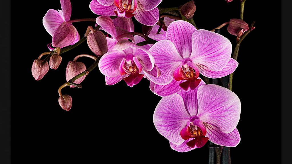 پشت این آهنگ، یه قصه خاصه